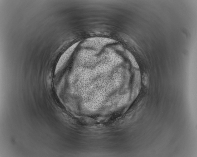 X0000113760915200910141045