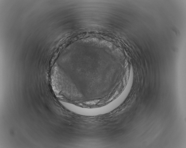 X0000113760916200910141045