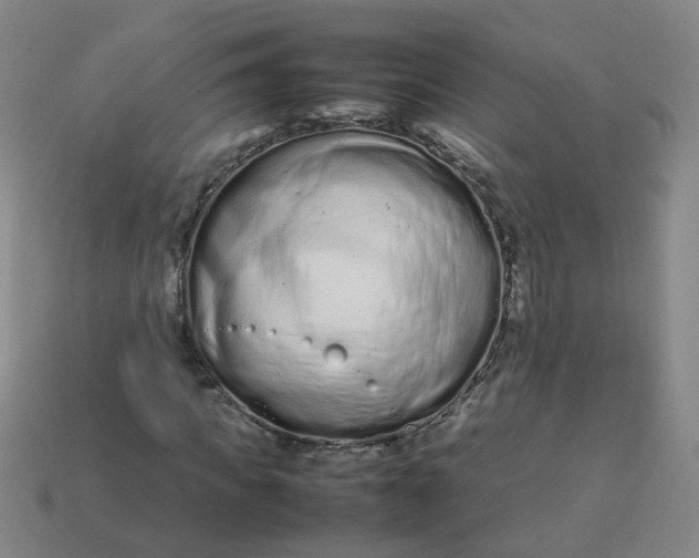 X0000113760917200910141045