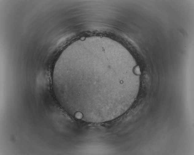 X0000113760918200910141045