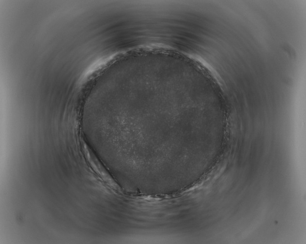 X0000113760919200910141045