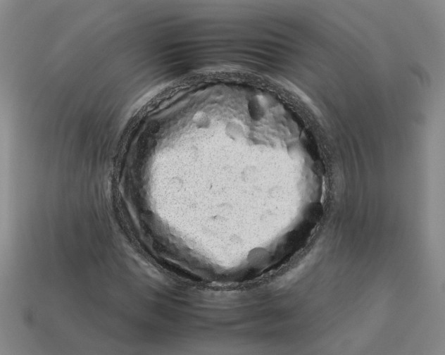 X0000113760921200910141045