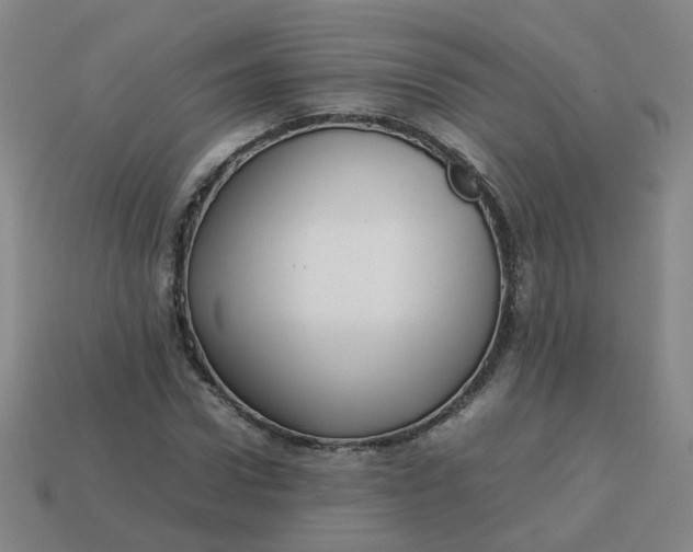 X0000113760922200910141045