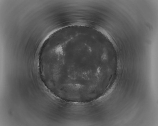 X0000113760923200910141045