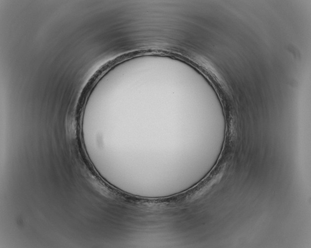 X0000113760924200910141045