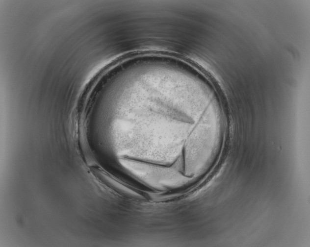 X0000113760925200910141045