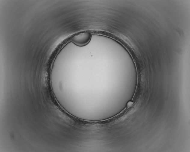 X0000113760926200910141045