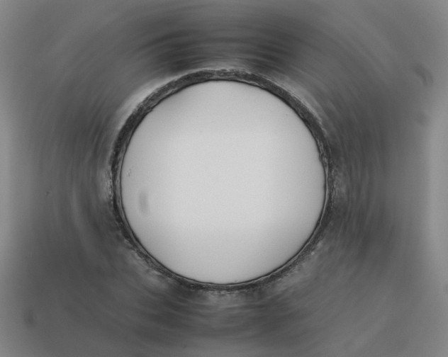 X0000113760927200910141045