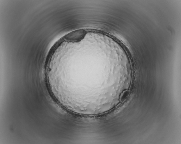 X0000113760928200910141045