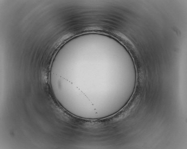 X0000113760929200910141045