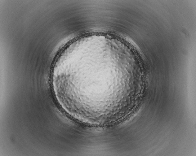 X0000113760930200910141045