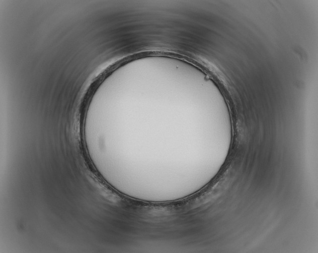 X0000113760931200910141045