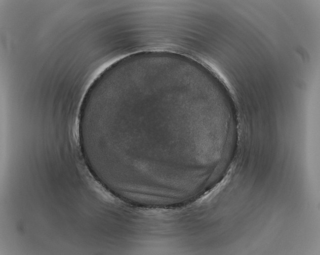 X0000113760932200910141045