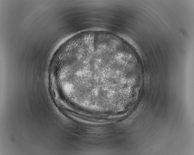 X0000113760935200910141045