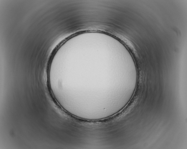 X0000113760936200910141045