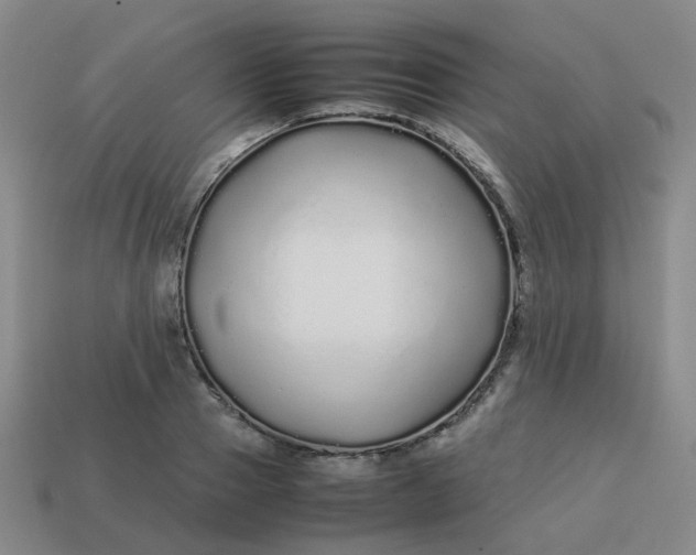 X0000113760937200910141045