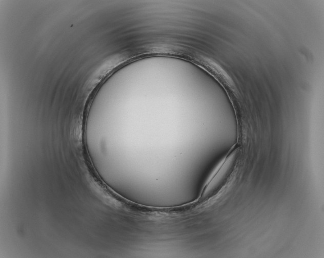 X0000113760938200910141045