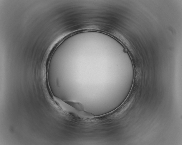 X0000113760939200910141045