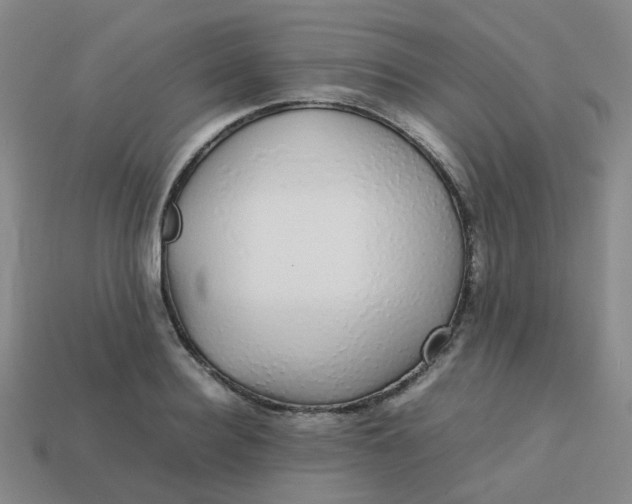 X0000113760940200910141045