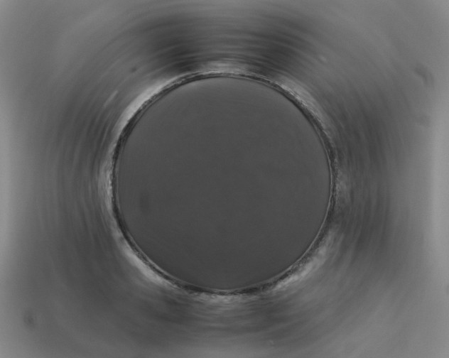 X0000113760941200910141045