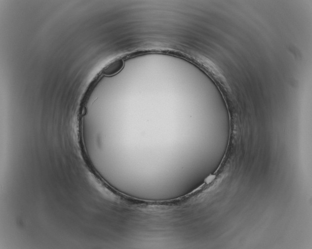 X0000113760942200910141045