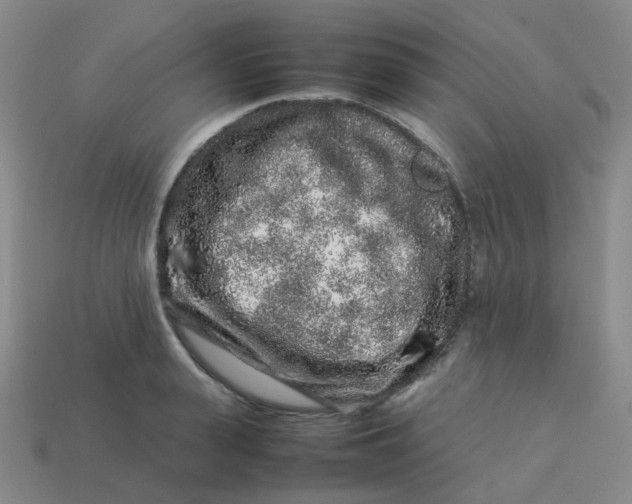 X0000113760943200910141045