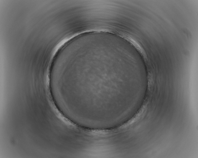 X0000113760944200910141045