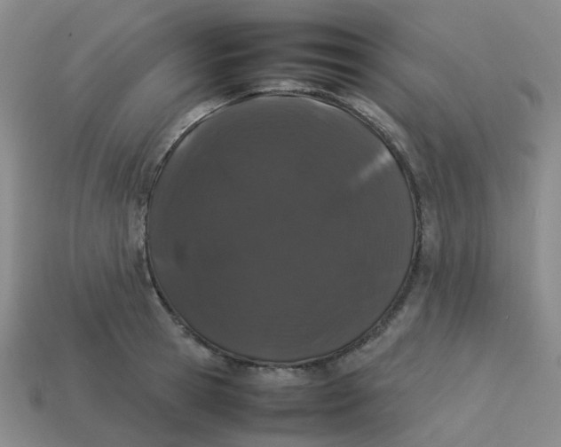 X0000113760945200910141045