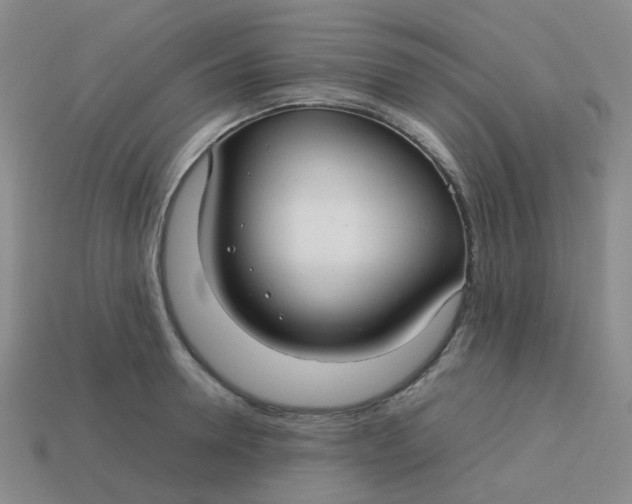 X0000113760946200910141045