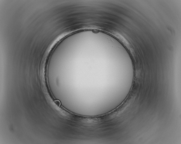 X0000113760947200910141045