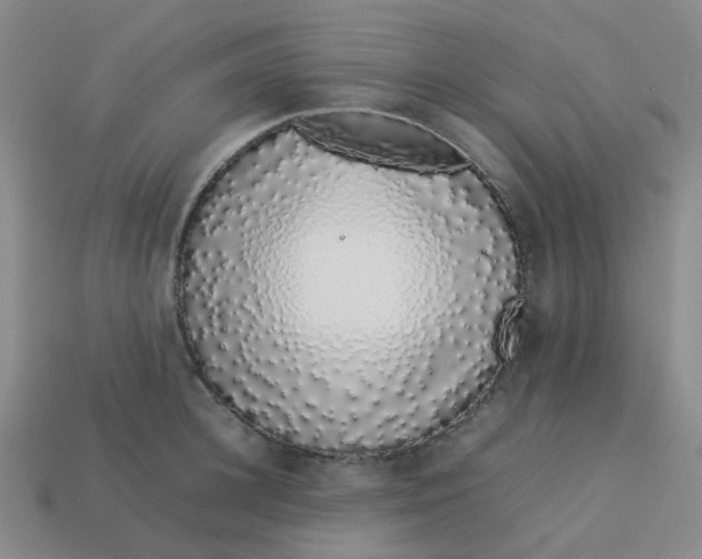 X0000113760948200910141045