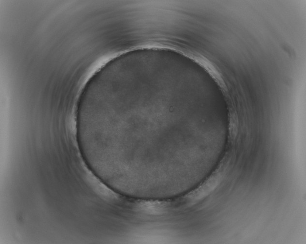 X0000113760950200910141045