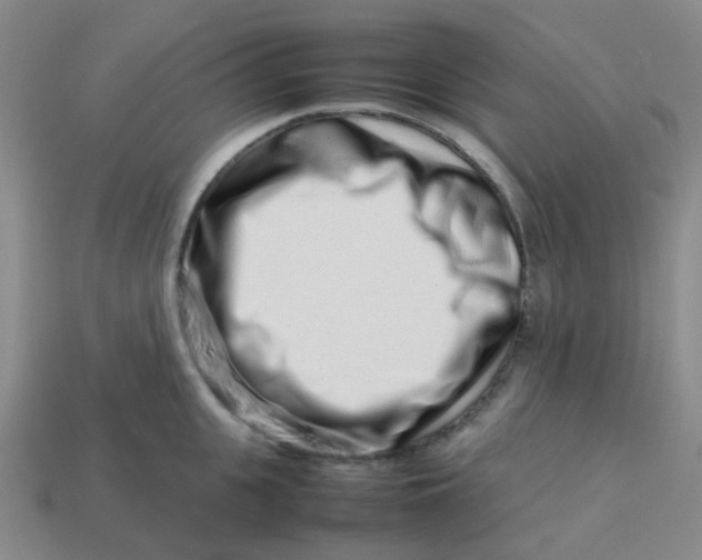 X0000113760951200910141045