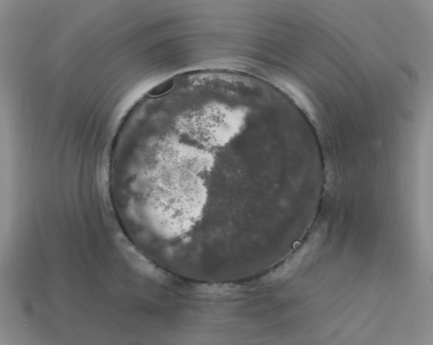 X0000113760952200910141045