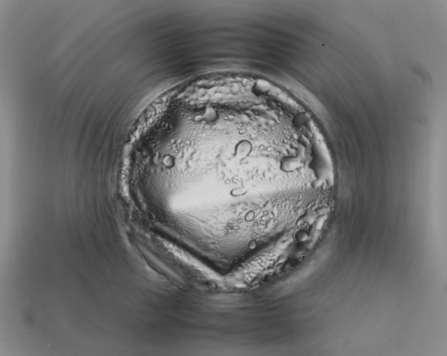 X0000113760953200910141045