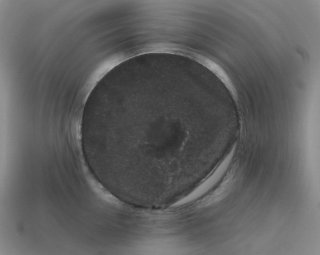 X0000113760954200910141045