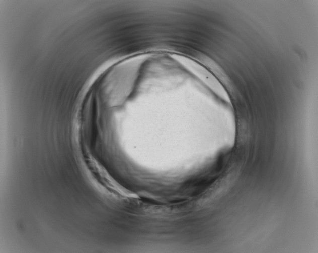 X0000113760955200910141045