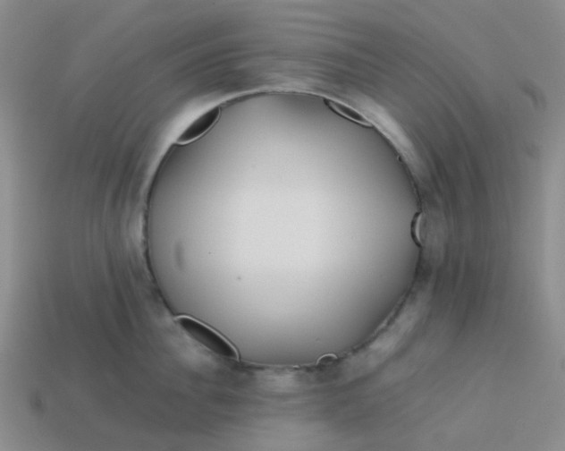 X0000113760956200910141045