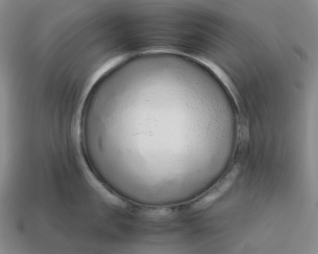 X0000113760957200910141045