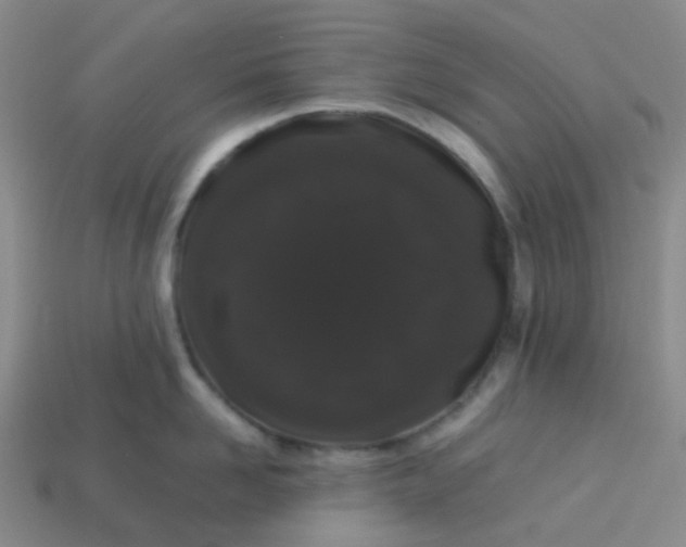 X0000113760958200910141045