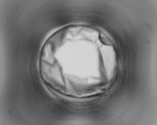 X0000113760959200910141045