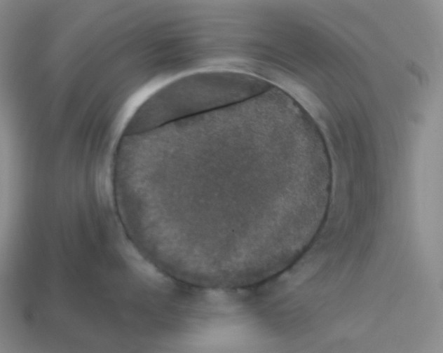 X0000113760960200910141045