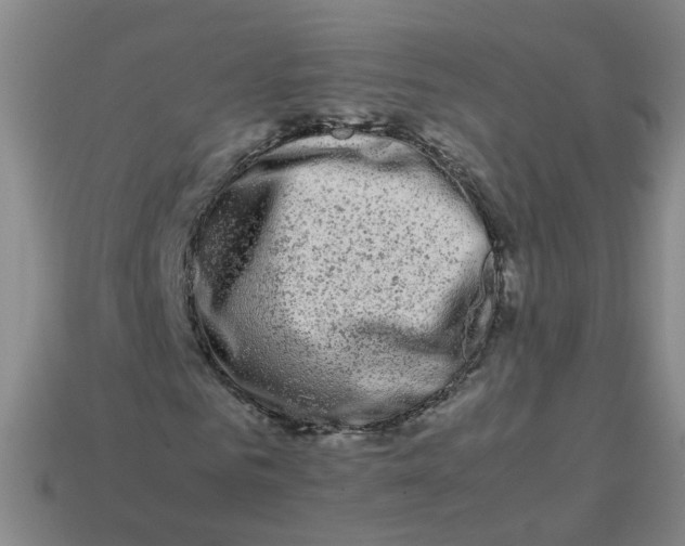 X0000113760961200910141045