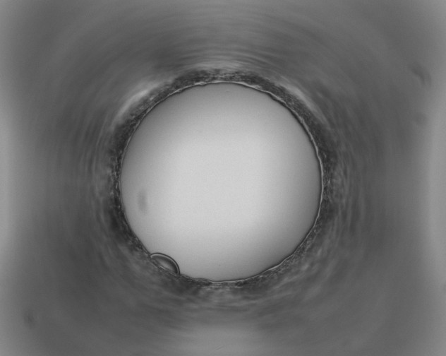 X0000113760967200910141045