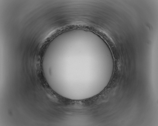 X0000113760968200910141045