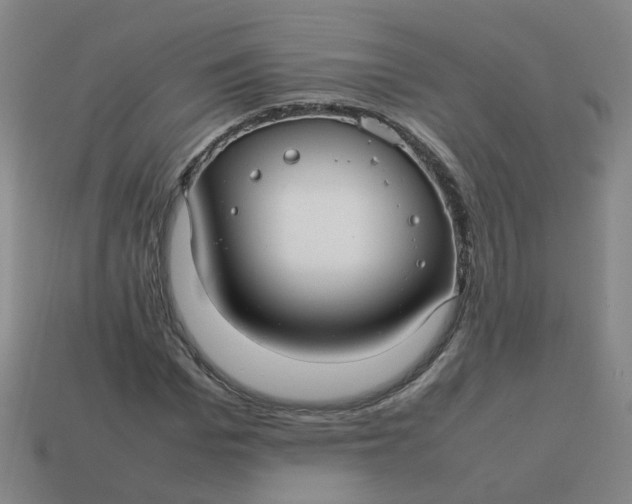 X0000113760969200910141045