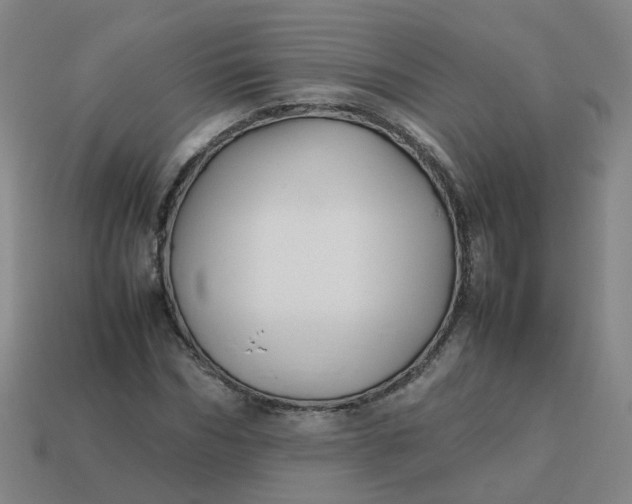 X0000113760970200910141045