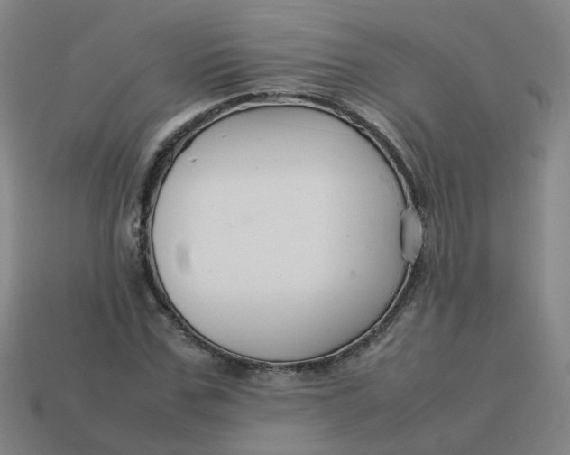 X0000113760971200910141045