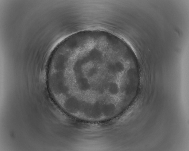 X0000113760975200910141044