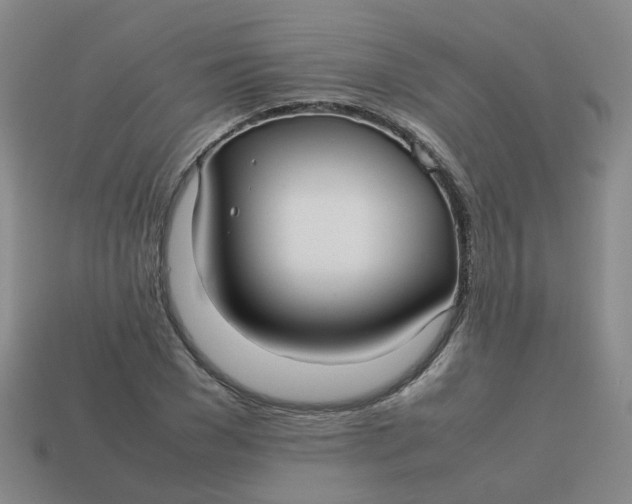 X0000113760977200910141044